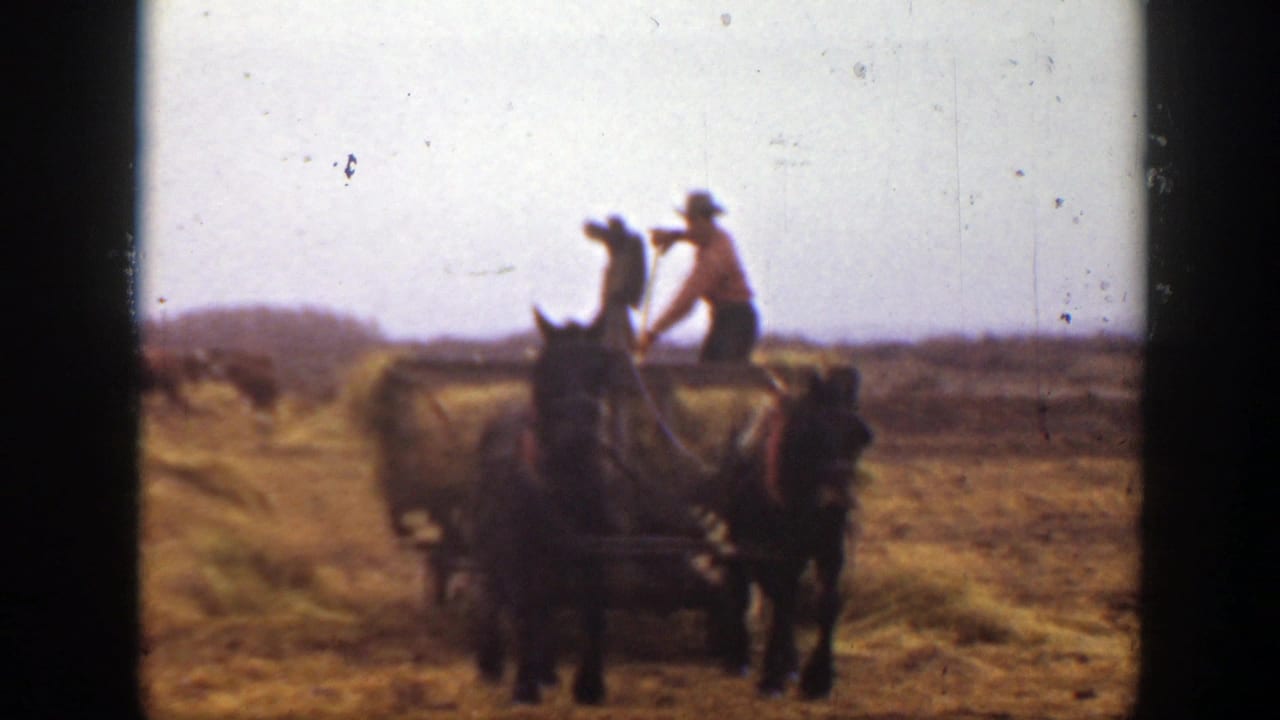 Two horses pull a wooden hay wagon across a dry Montana field while workers stand or ride above the load.