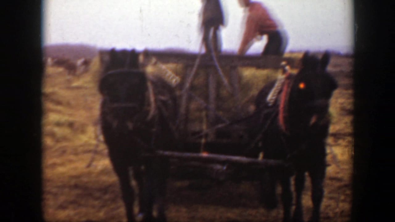 A horse-drawn hay wagon moves through a Montana field, with two workers standing on or beside the hay load.