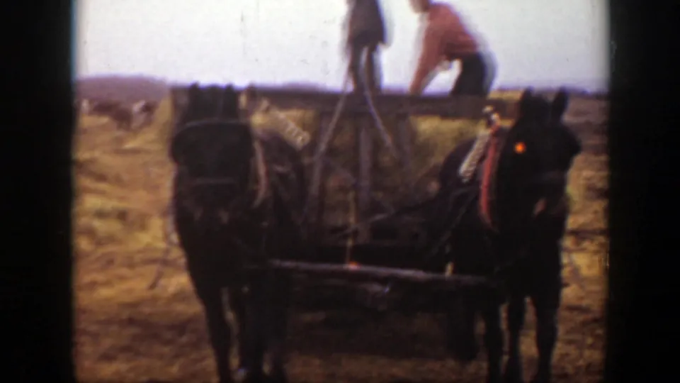 A horse-drawn hay wagon moves through a Montana field, with two workers standing on or beside the hay load.