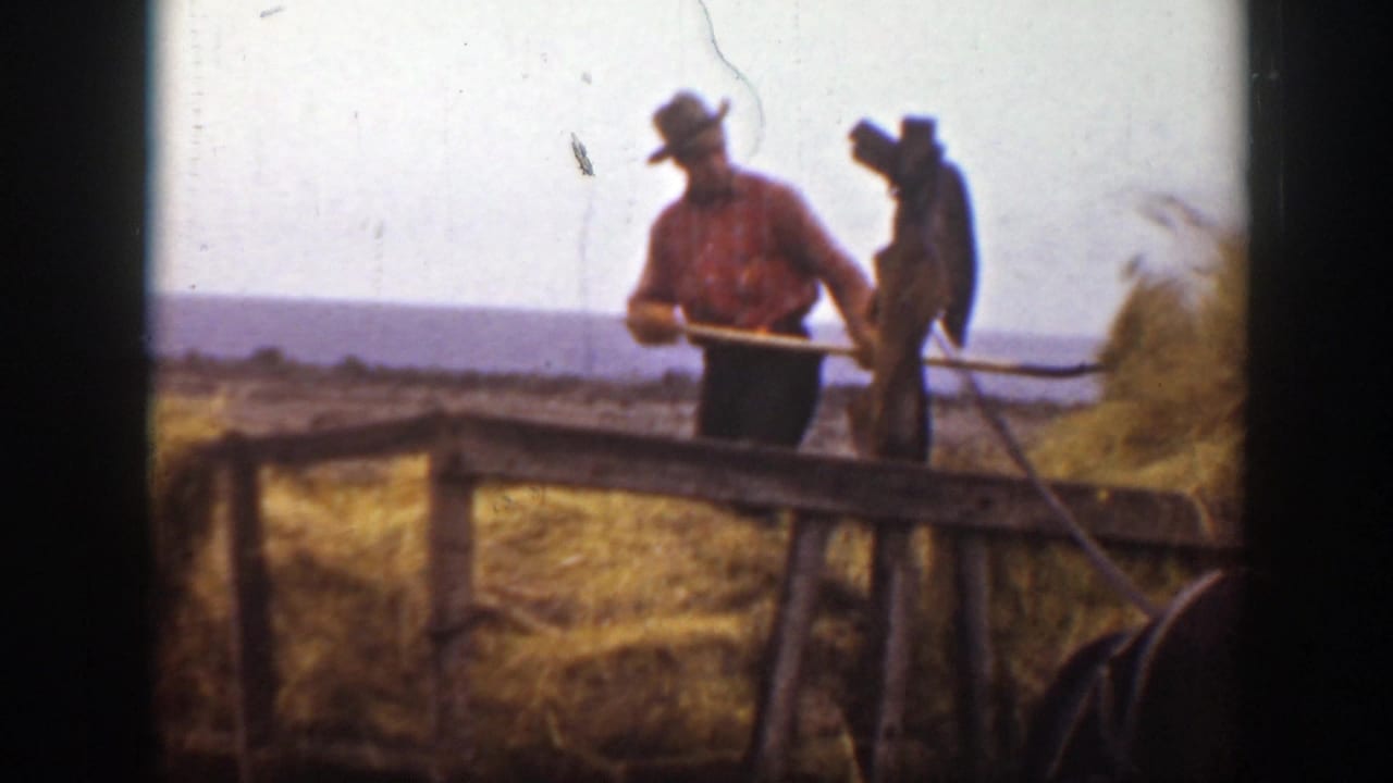 A Montana farm worker in a hat holds a long-handled tool near the hay wagon during field work.