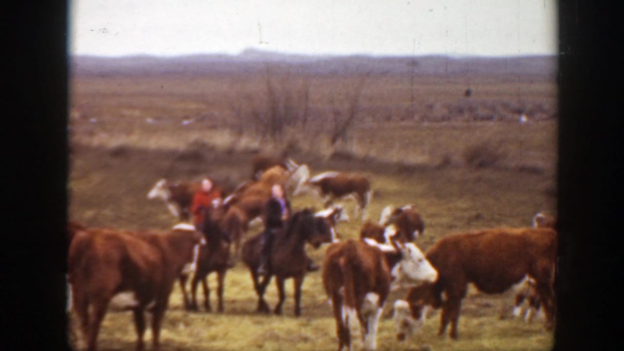 1939 Montana frame showing two distant riders on horseback among cattle, with open prairie and low hills behind them.