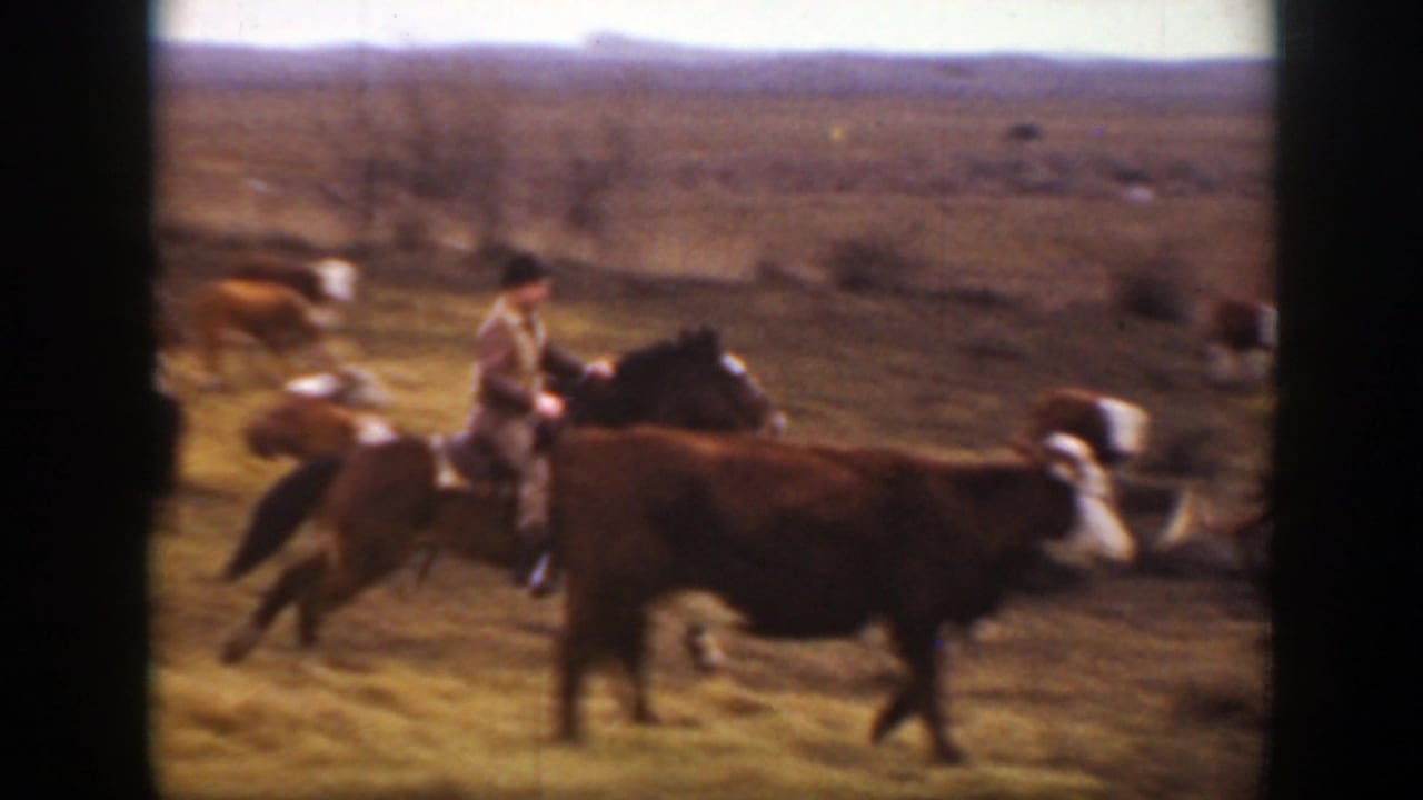 Cowboy on horseback riding near cattle on open prairie.