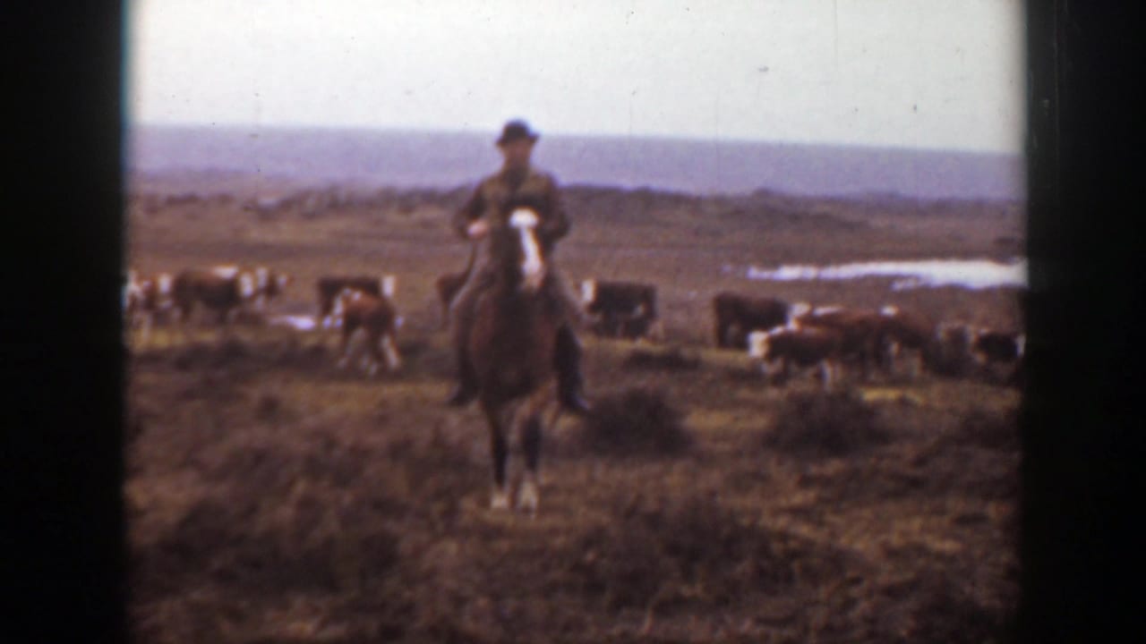 A mounted cowboy faces toward the camera on Montana prairie, with cattle and a small water patch behind him.