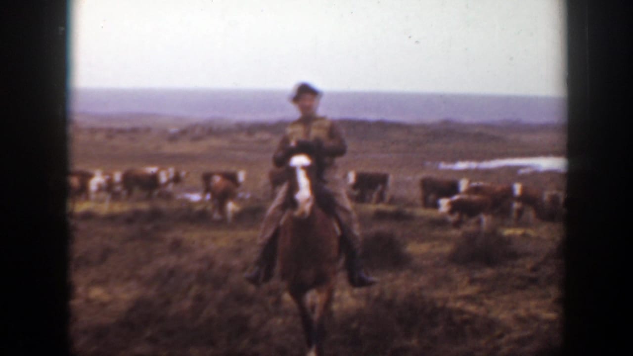 Cowboy on horseback in an open field with scattered cattle behind him.