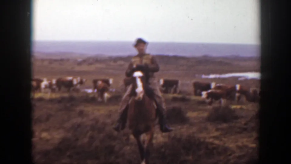 1939 Montana 8mm frame of a rider on a brown horse facing the camera while cattle graze across open ranch land.