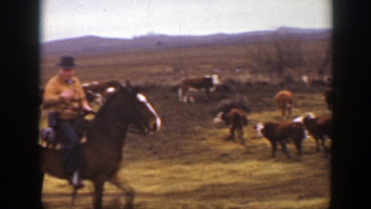 1939 Montana ranch footage shows a rider in a tan jacket and dark hat moving a brown horse past scattered cattle.