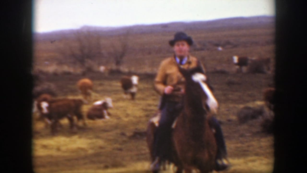 1939 Montana home-movie frame of a cowboy on a brown horse with a white blaze, surrounded by cattle in a broad ranch field.