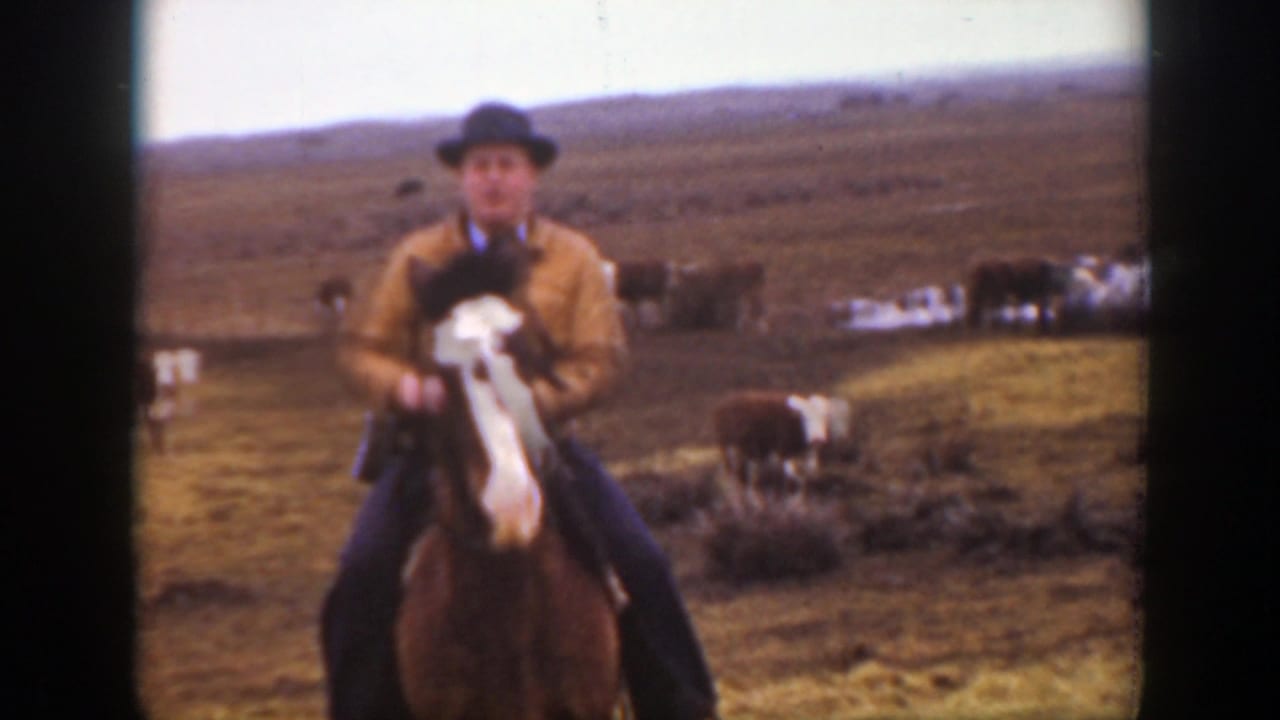 Man in a hat riding a dark horse in a field with cattle behind him.