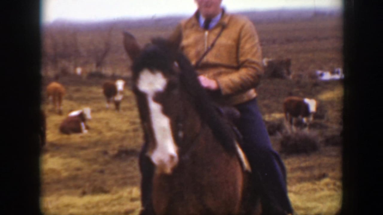 The Montana rider is framed closer on a dark horse with a white blaze, with grazing cattle and open ground in the background.