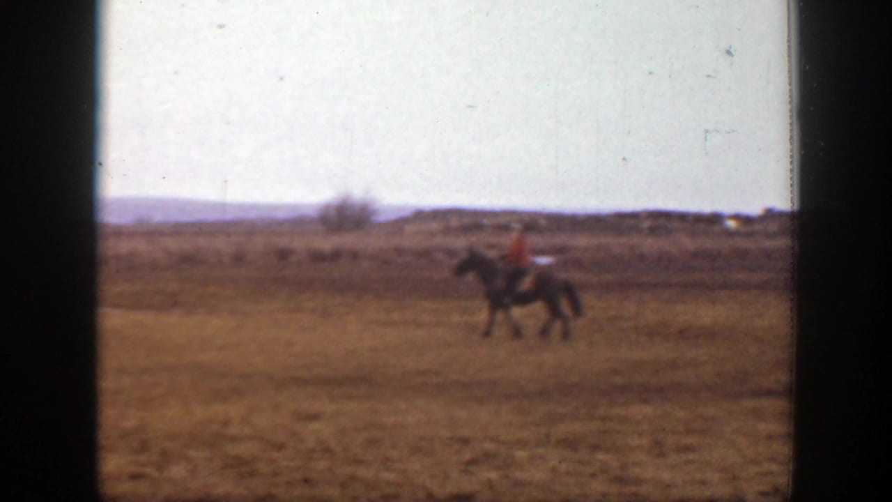 A distant horseback rider crosses the Montana pasture, with low hills and sparse field details visible beyond.