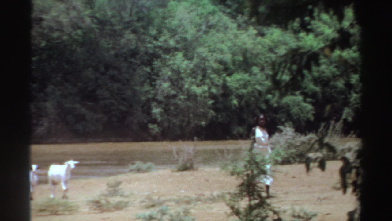 Woman in a white dress stands near goats on a dry riverbank with trees behind her.