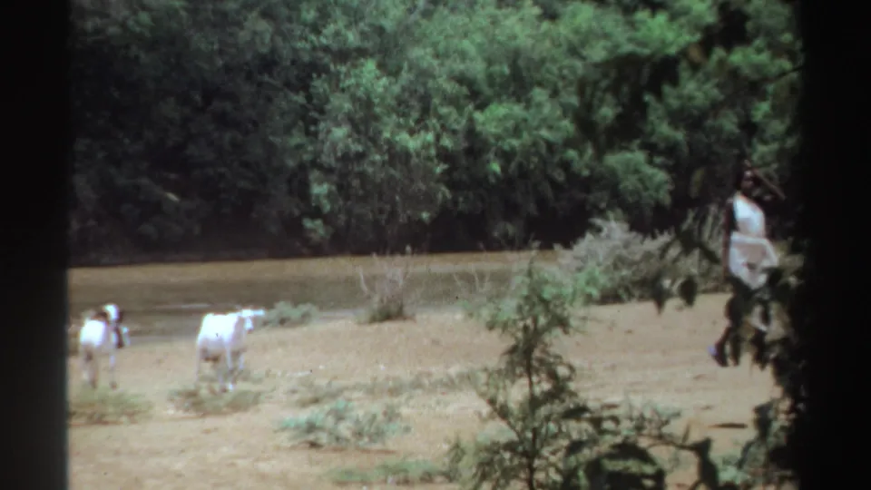 1969 Sudan 8mm frame showing goats on a dusty riverbank with a woman in white partly obscured by foliage.