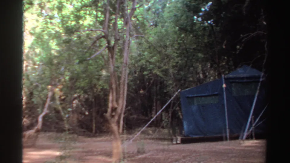1969 Sudan frame showing a large blue canvas tent emerging among trees and guy lines in the shade.
