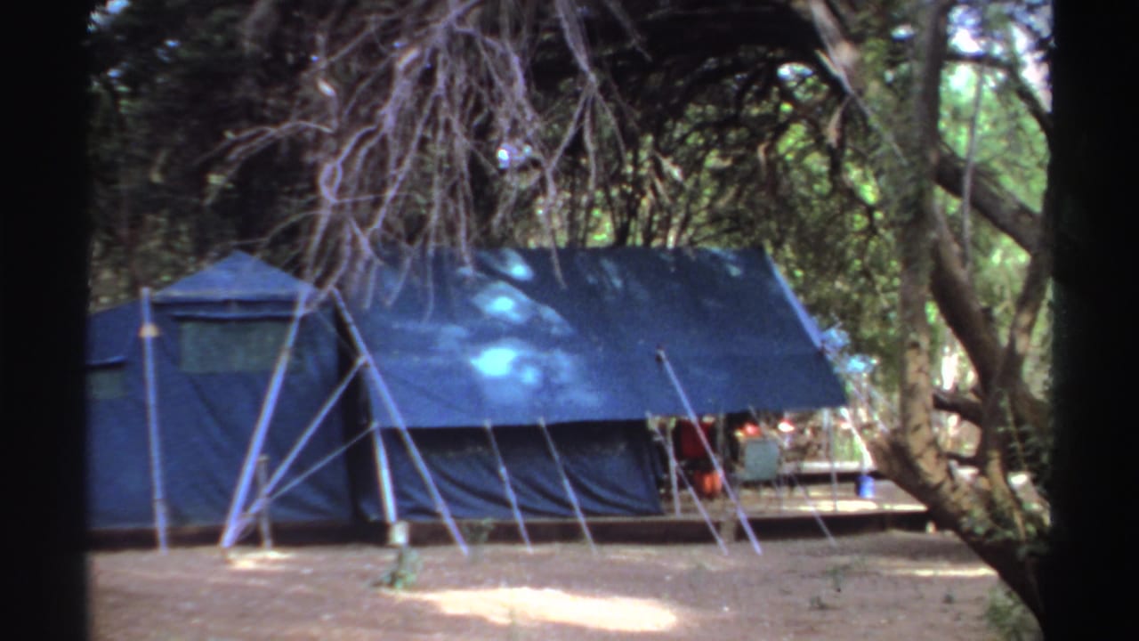 Blue canvas tent among trees with support poles and shaded sandy ground.
