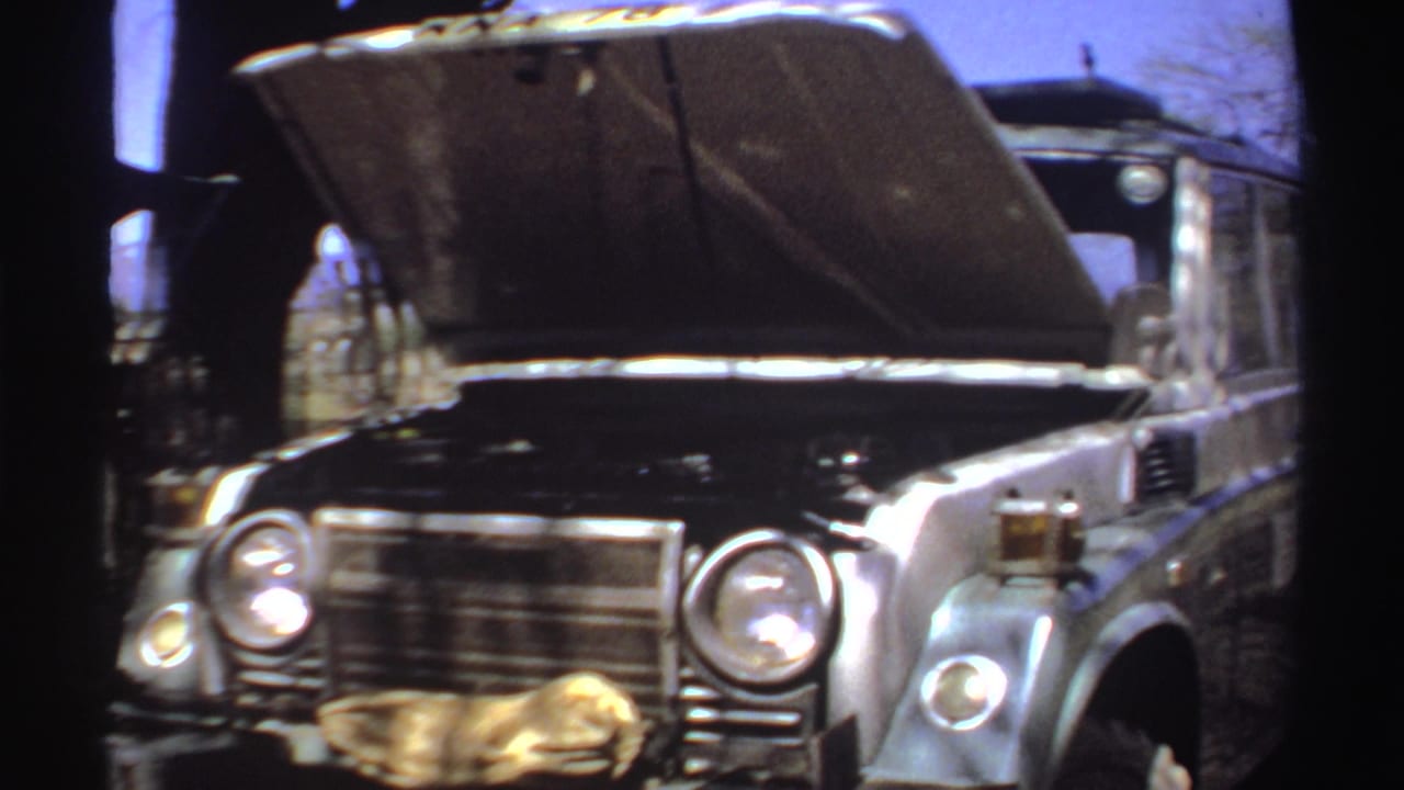 Front view of the open-hood vehicle partly framed by dark tree trunks.