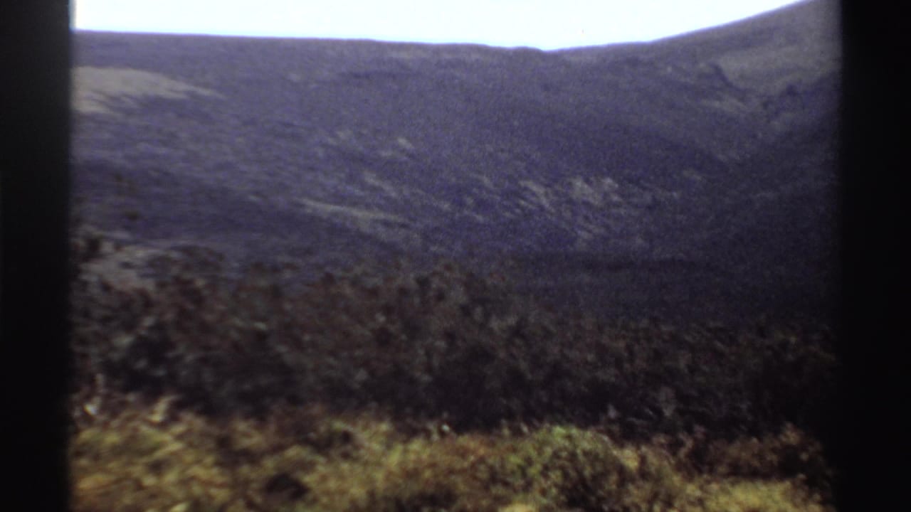 Brushy hillside and distant mountain ridge under a bright sky.