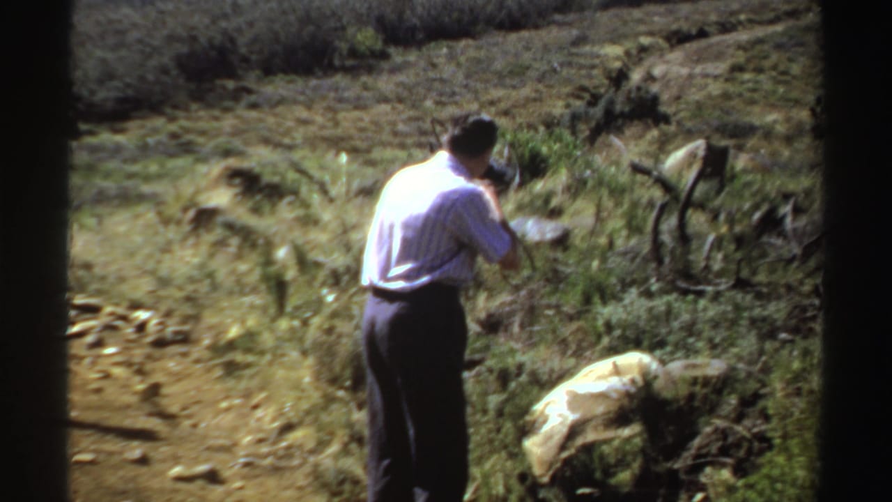 Man in a white shirt stands near rocks and shrubs while handling a camera.