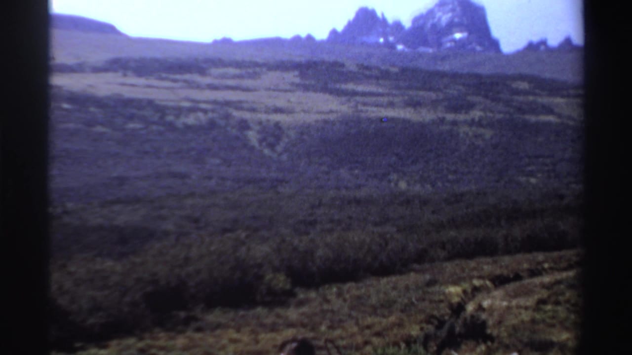 Wide view of grassy terrain and dark rocky mountains under a pale sky.