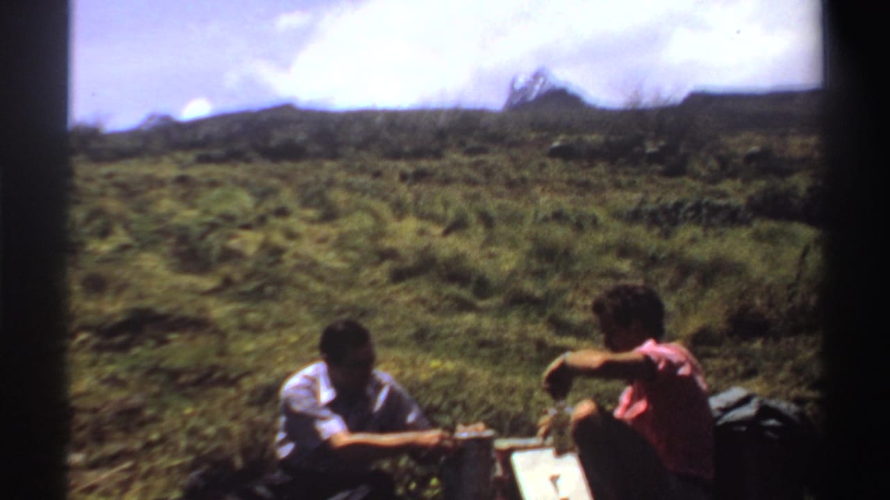 Two men sit on a grassy hillside with picnic items and bottles under a bright sky.
