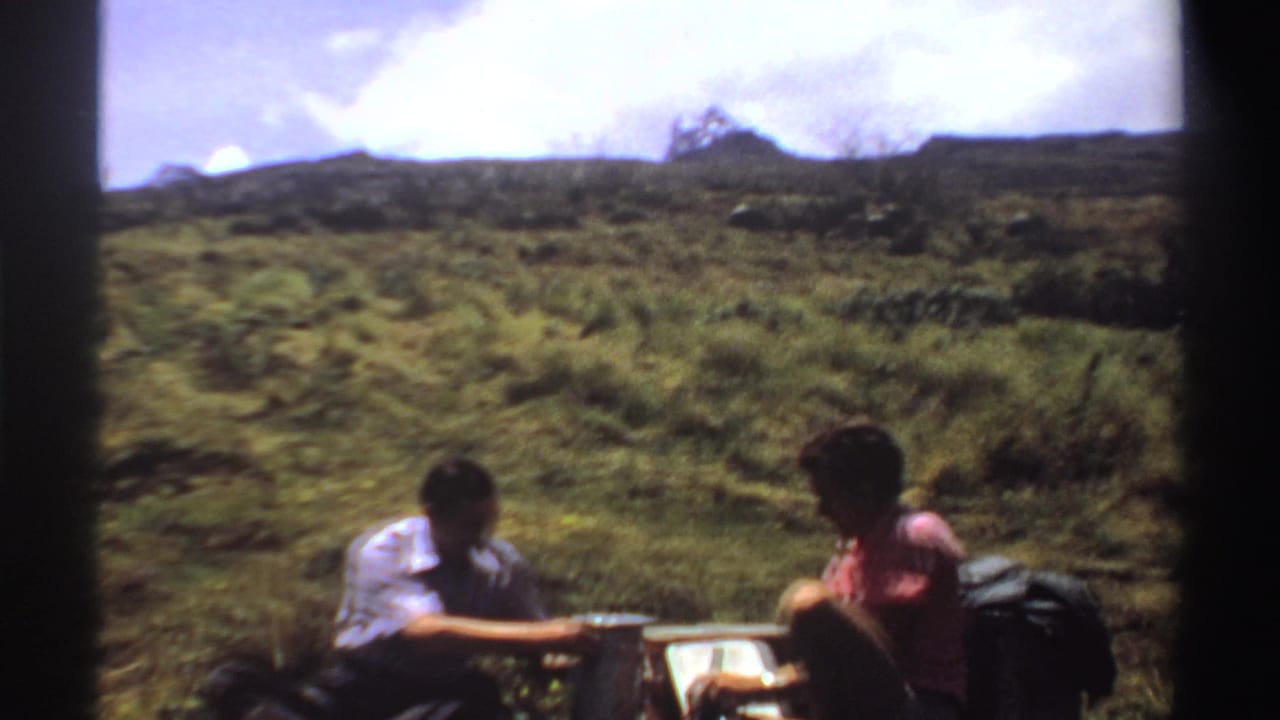 Two seated men face picnic supplies on a sunny grassy slope.