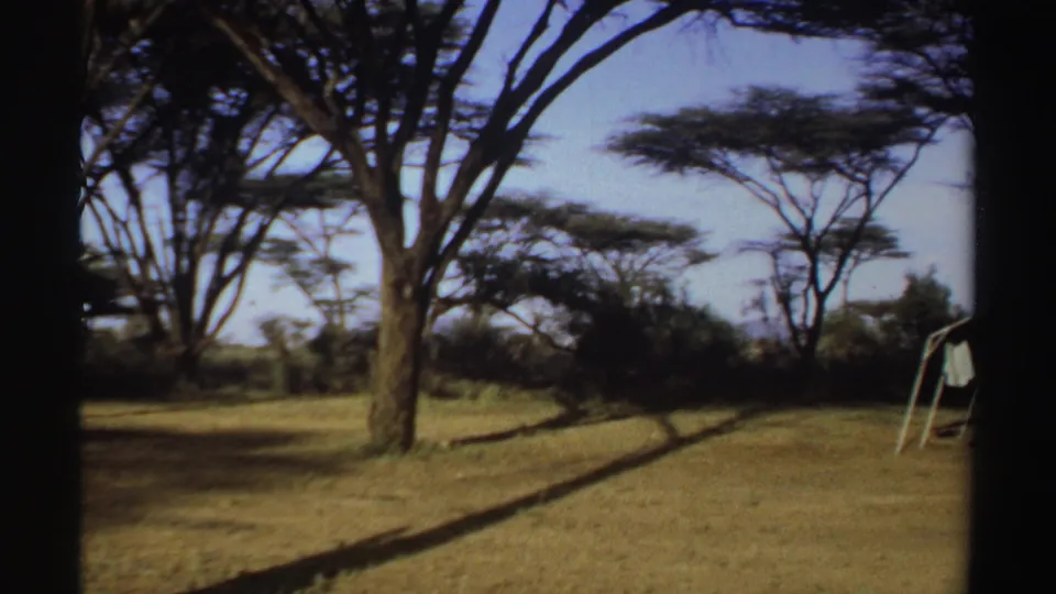 1969 Sudan home-movie frame showing dry grass, a tall tree, broad tree canopies, and a small swing frame near the right edge.