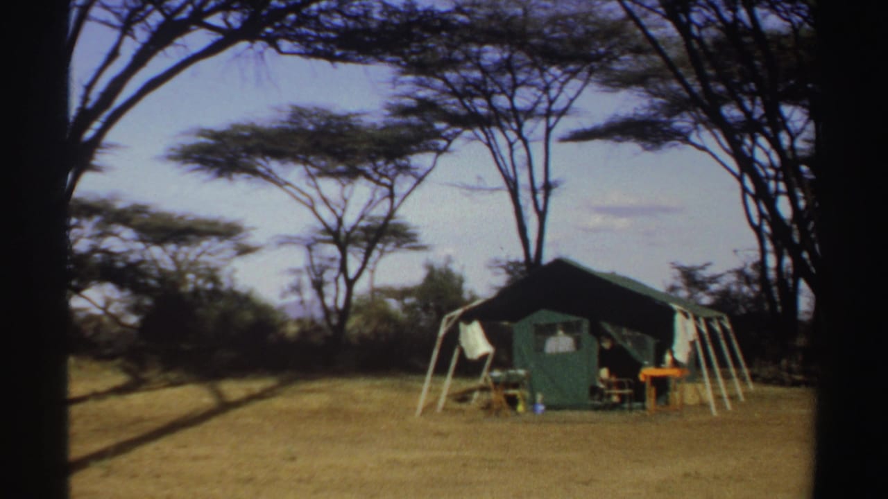 A 1969 Sudan campsite view with a green tent, white support poles, dry ground and tall acacia-like trees.