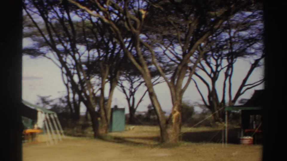 A 1969 Sudan camp view showing trees, dry ground, part of a green tent and a small shaded camp structure.