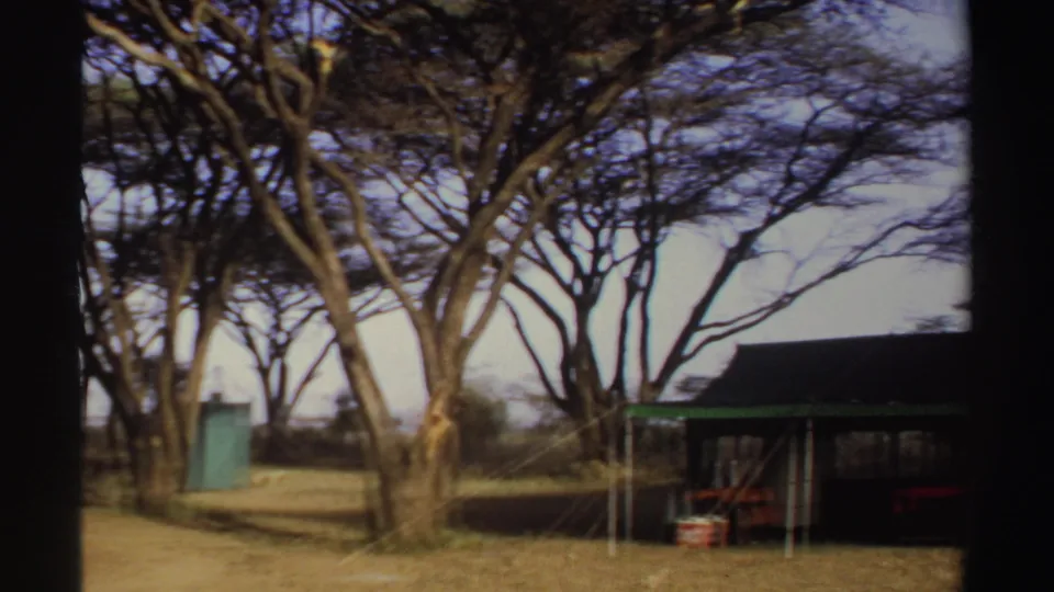 1969 Sudan 8mm frame showing a canvas-roofed camp shelter with green trim among tall trees and dry grass.