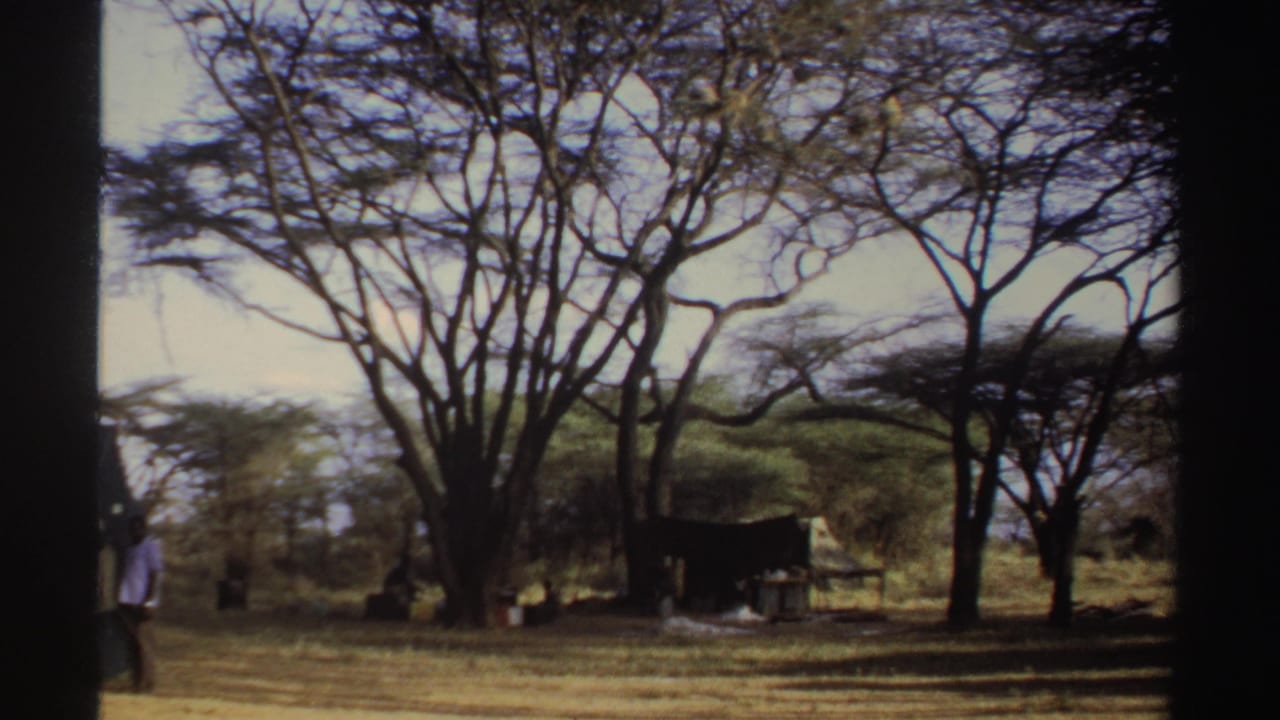Dry savanna camp area with trees, a small shelter, and a person at the far left.