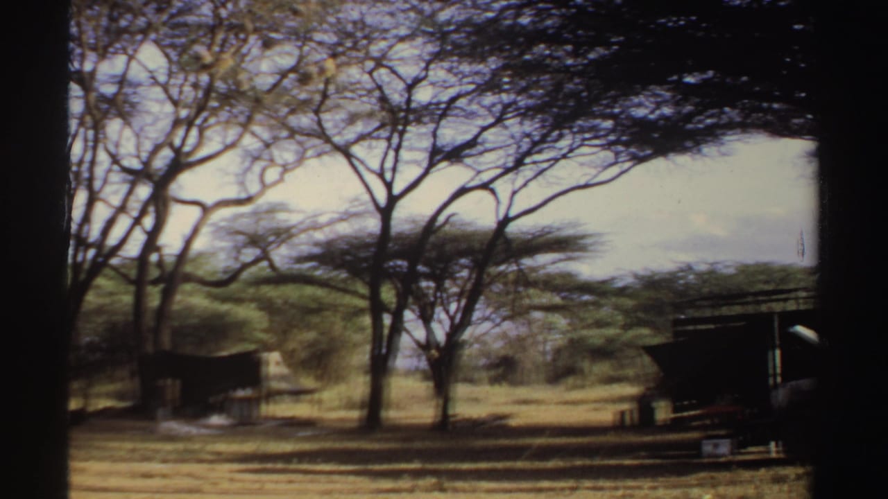Tree-lined camp clearing with a small shelter and dry grass in the foreground.