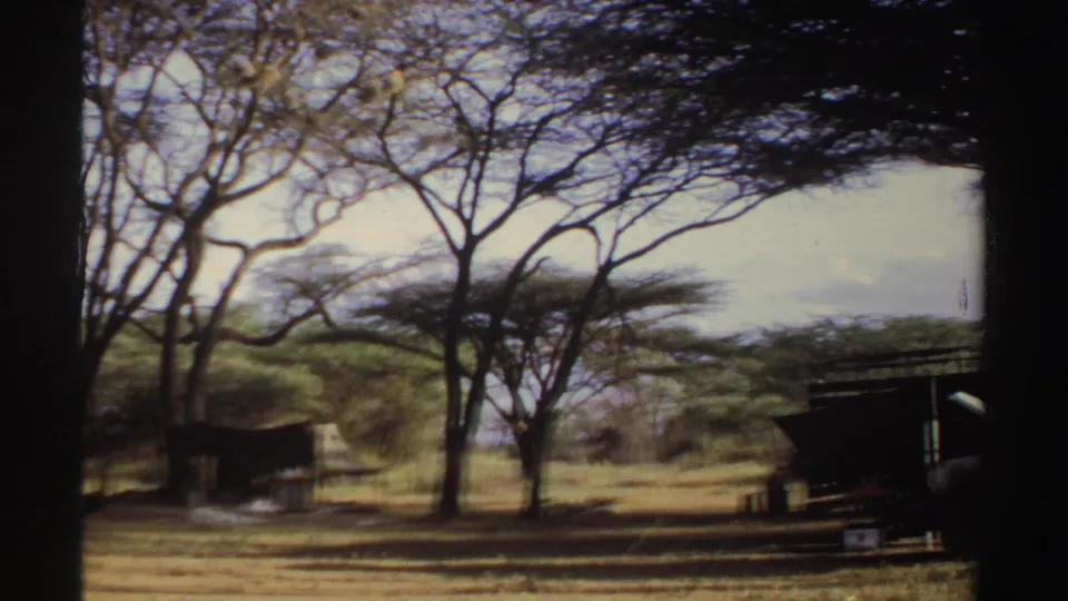 1969 Sudan home-movie view of a sparse camp clearing with dry grass, acacia-like trees, and a simple shelter structure.