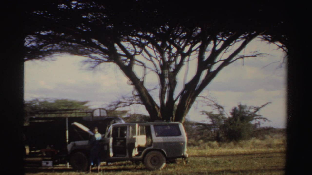 Two vehicles parked under trees, one with its hood open and a person standing nearby.