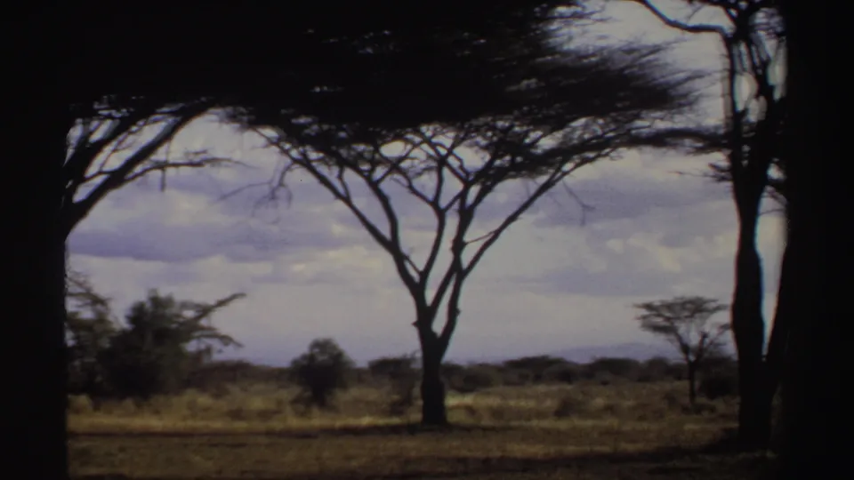 1969 Sudan 8mm frame showing a wide savanna landscape with tall trees, dry grass, low distant hills, and overcast sky.