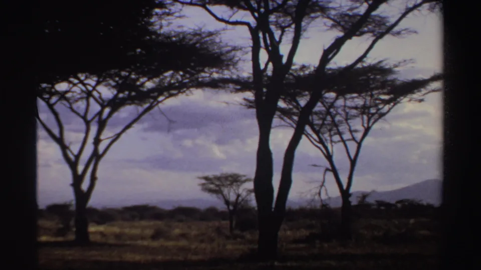 1969 Sudan 8mm frame of acacia-like trees in dry savanna, with distant hills and a cloudy sky beyond the grassland.