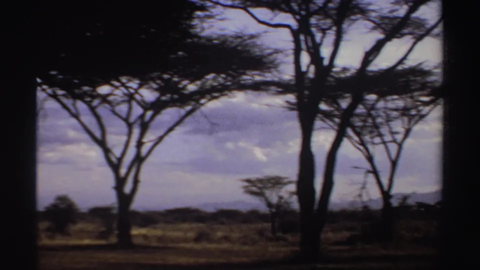 Sudan 1969 home-movie frame showing acacia trees and open savanna under a cloudy sky, with dark 8mm frame edges.