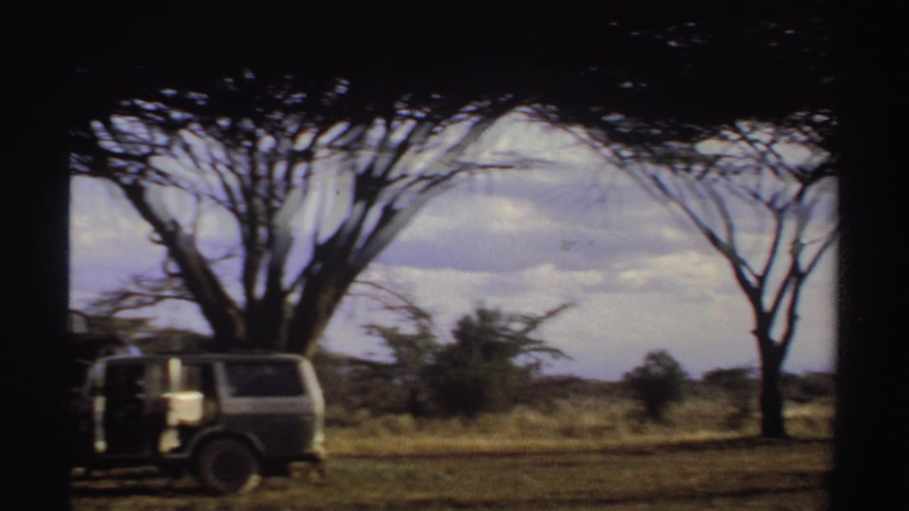 Sudan 1969 frame with a boxy safari-style vehicle parked under acacia trees in a sunlit savanna setting.