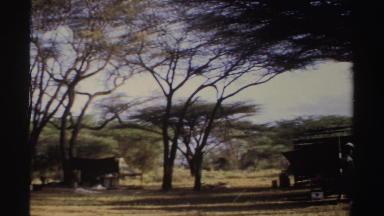 Dark campsite structure among dry grass and spreading trees with heavy film gate edges.