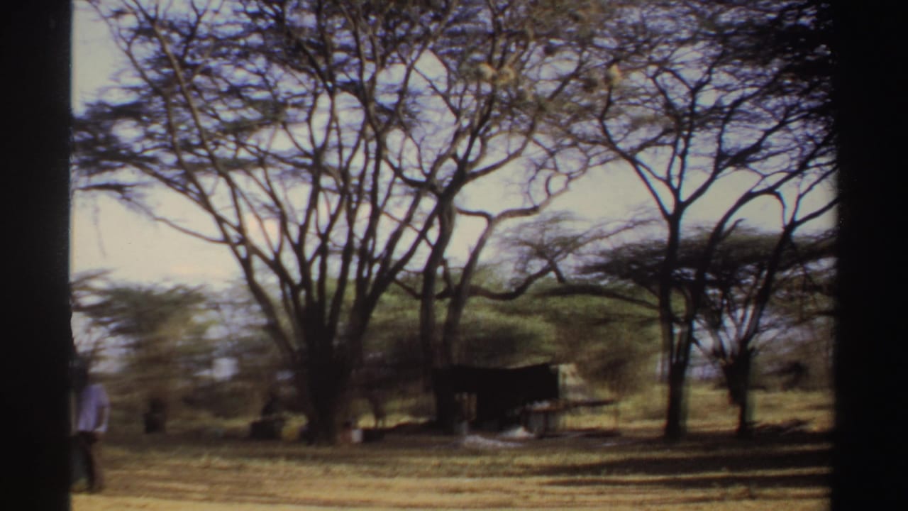 1969 Sudan 8mm frame with a person near a shaded camp shelter under sparse trees on dry ground.