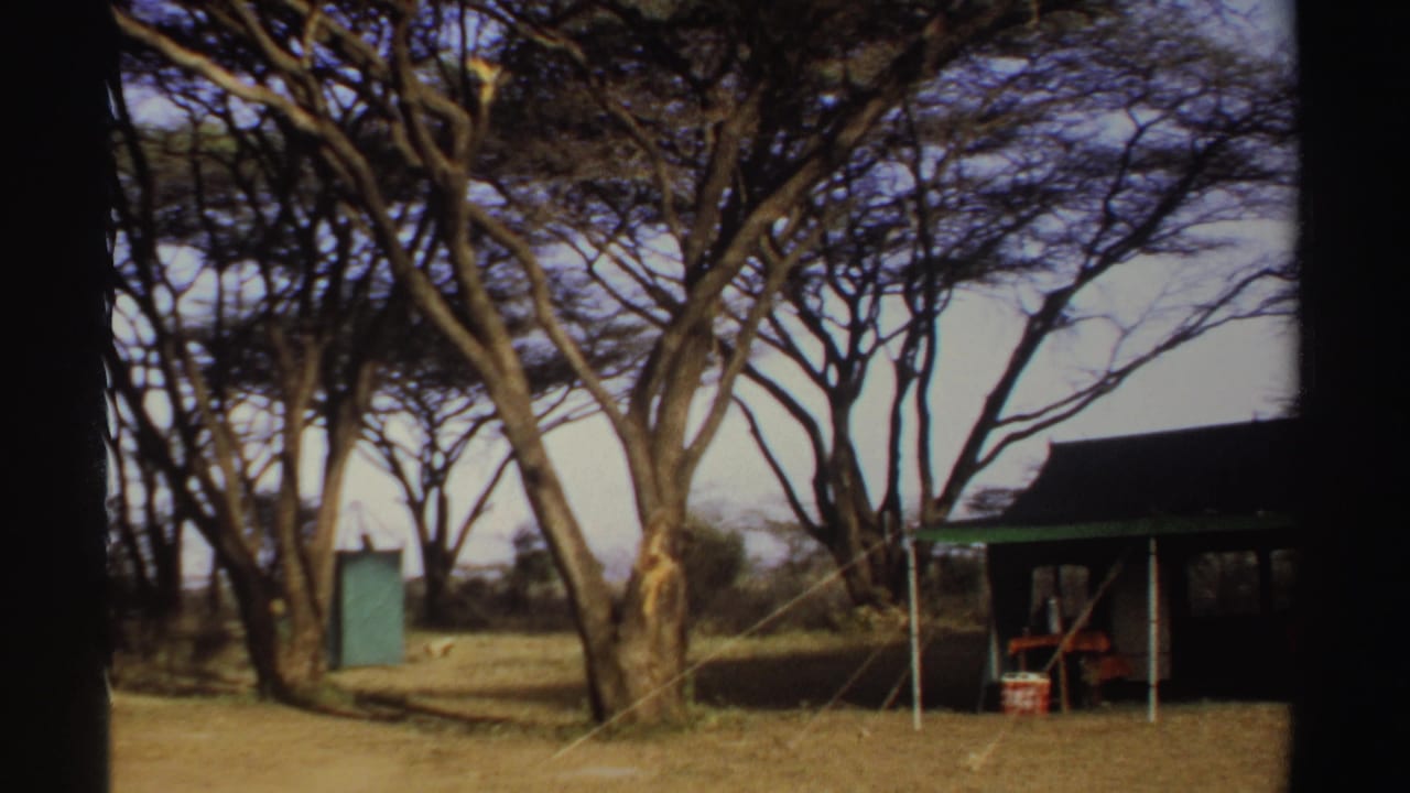 Trees and a campsite structure with a green portable toilet nearby.