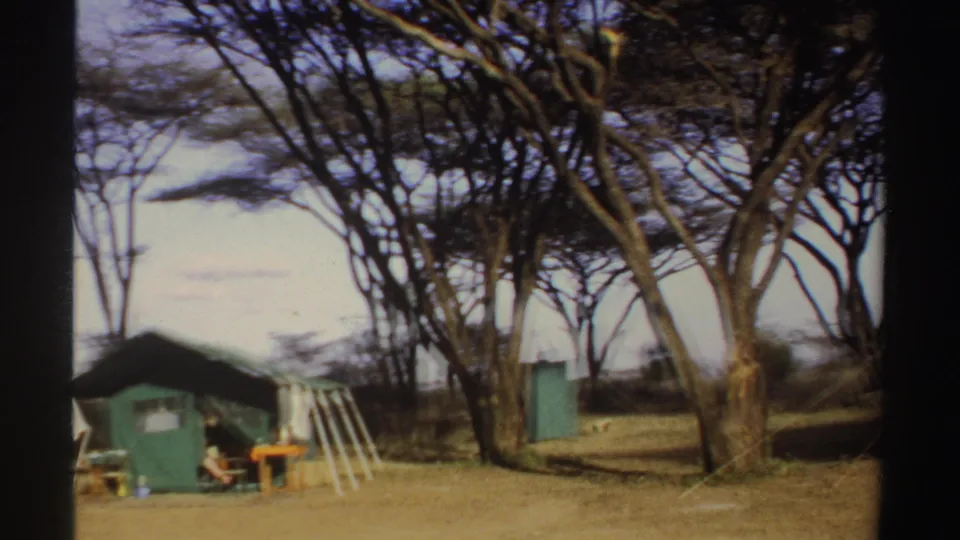 1969 Sudan 8mm frame showing a green canvas tent, folding cot or camp bed, small table, and tall trees in a dry campsite.