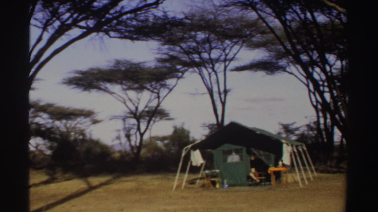 Green tent beneath trees with a person seated outside on dry grass.