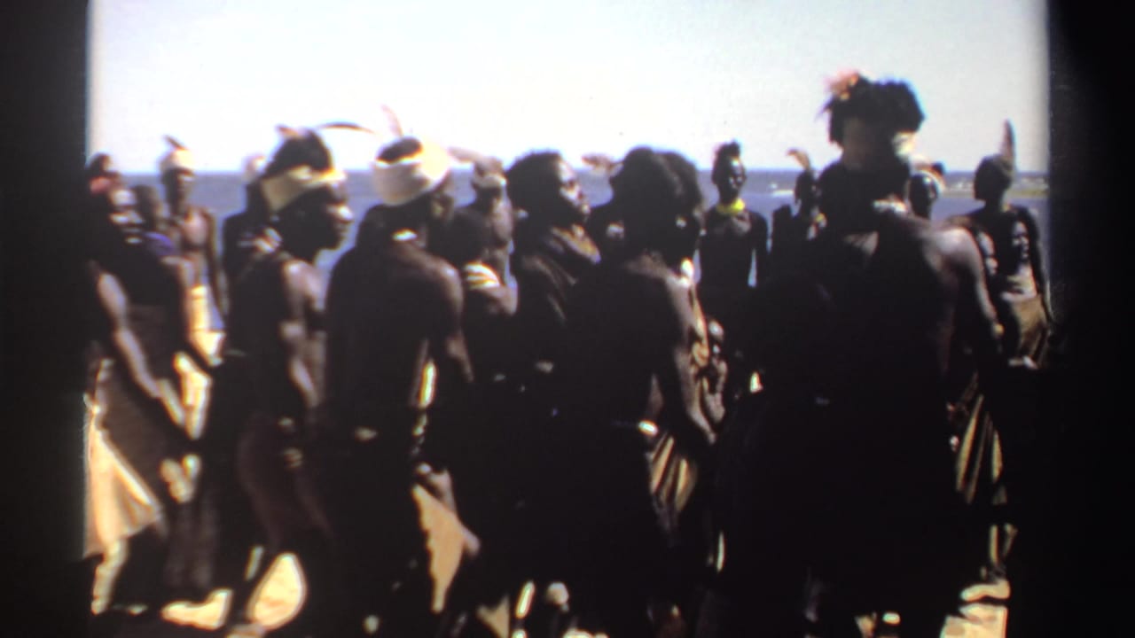 Group of dancers in feathered headbands and wrapped cloth near a shoreline.