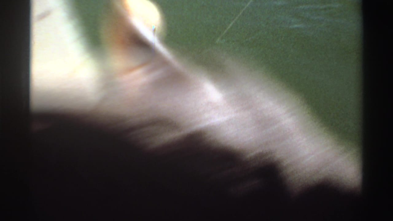 Blurred fish-shaped form near green water within a dark film frame.