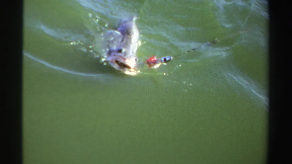 1969 Sudan 8mm frame with a fish at the surface beside a small red lure or float, visible ripples, and dark film-frame edges.