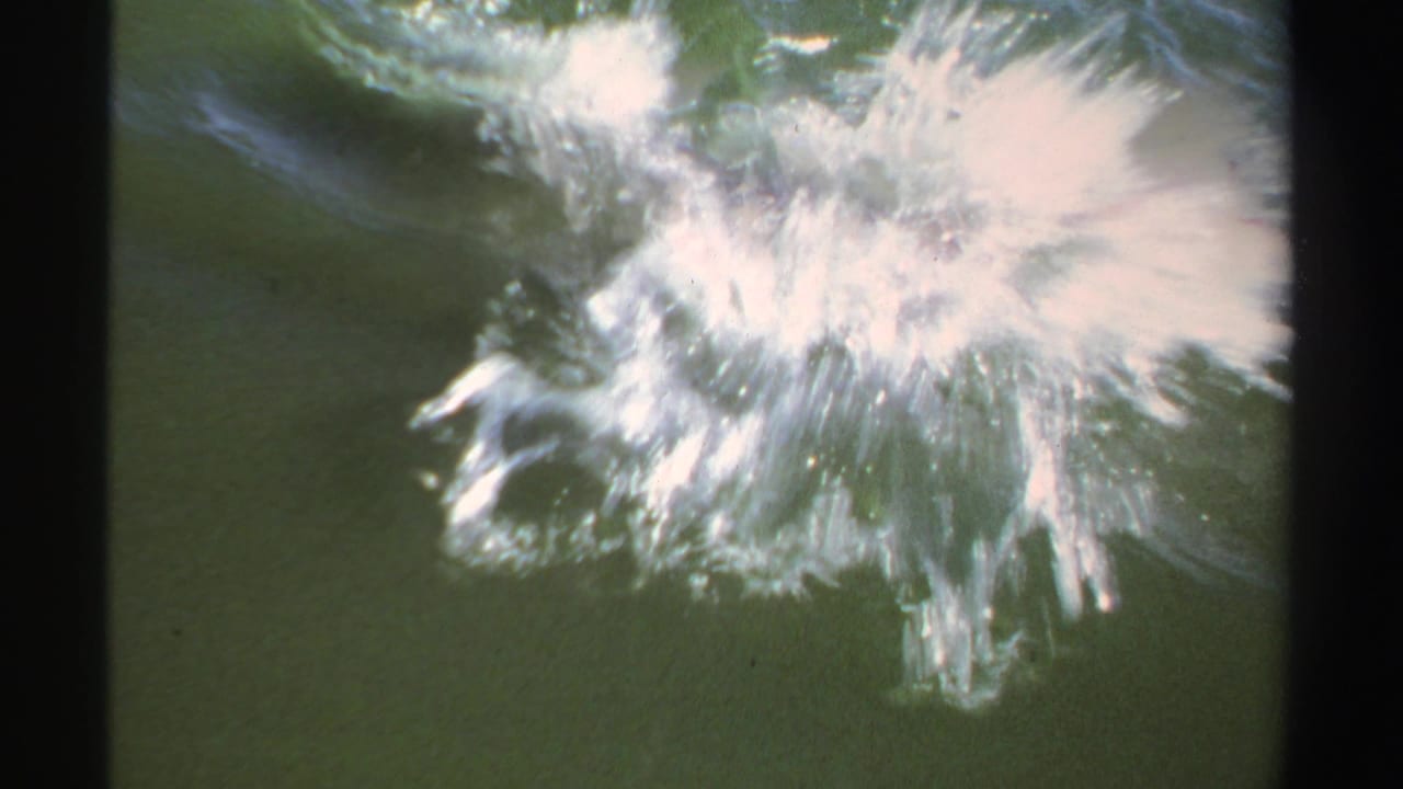 Hooked fish splashes hard in greenish water beside dark film borders.