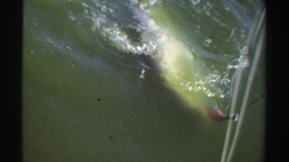 Close 8mm view of the fish near the water surface in Sudan, with line tension and glare visible in the frame.