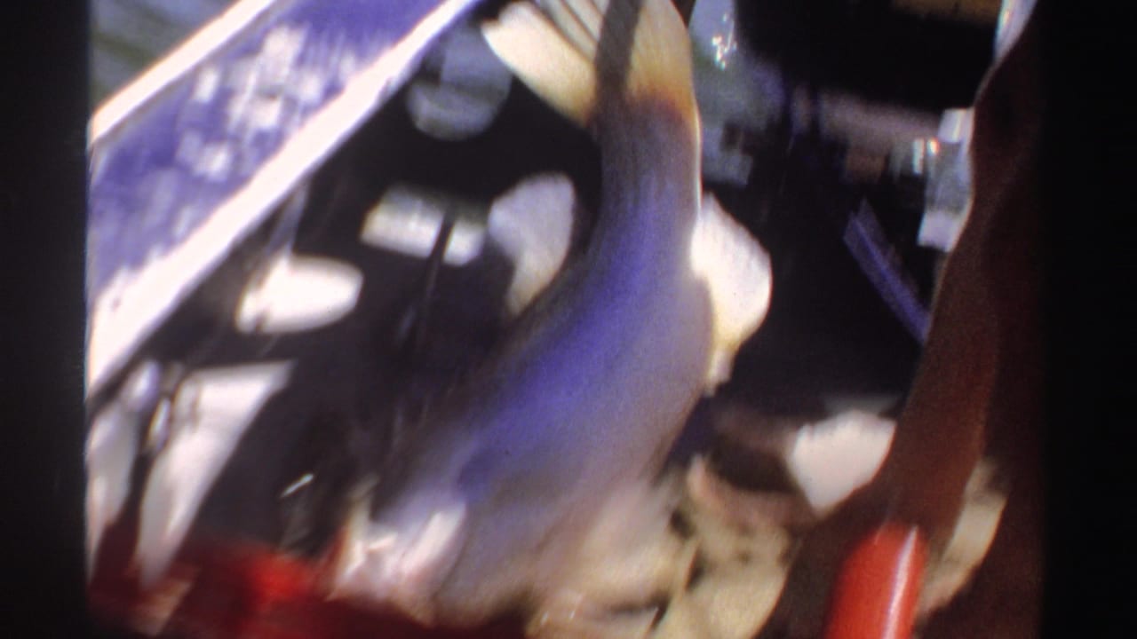 A large fish moves near fishing tackle on the boat in the Sudan 1969 home-movie clip.