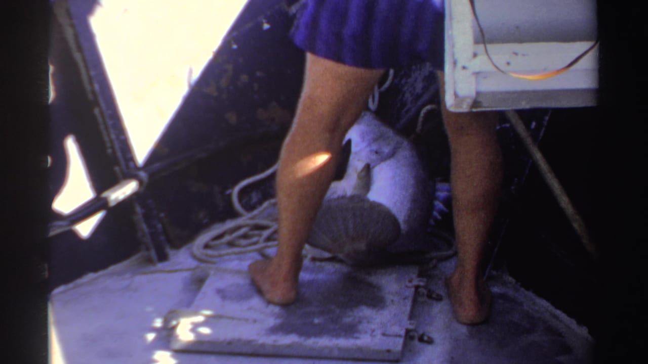 1969 Sudan 8mm frame showing a barefoot adult in blue shorts beside a large fish, rope, and metal hatch on a sunlit boat deck.