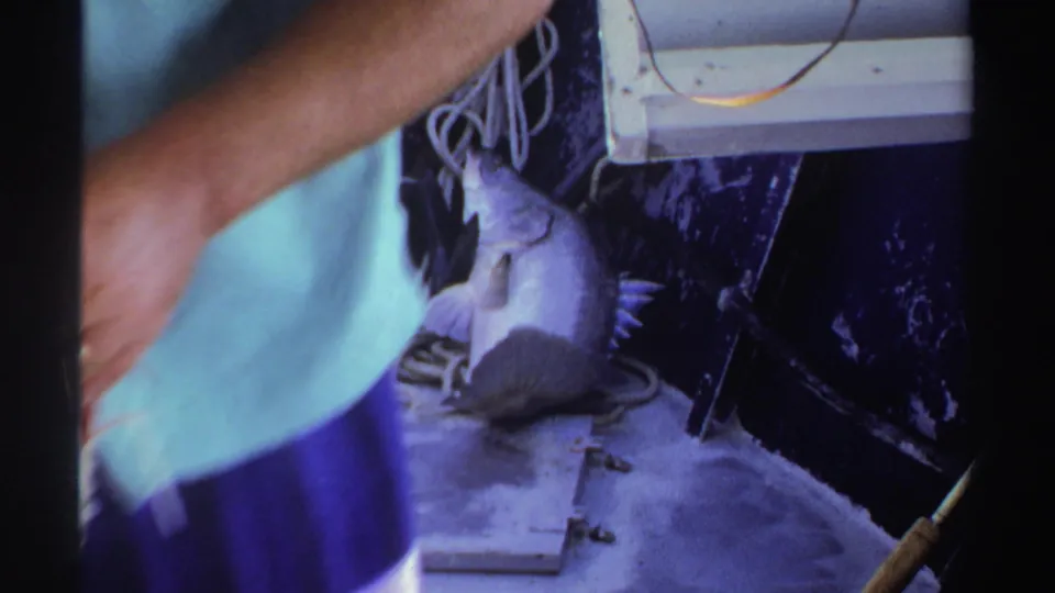 1969 Sudan 8mm frame with a pale green shirt and blue shorts partially blocking a view of the fish, rope, and hatch on deck.