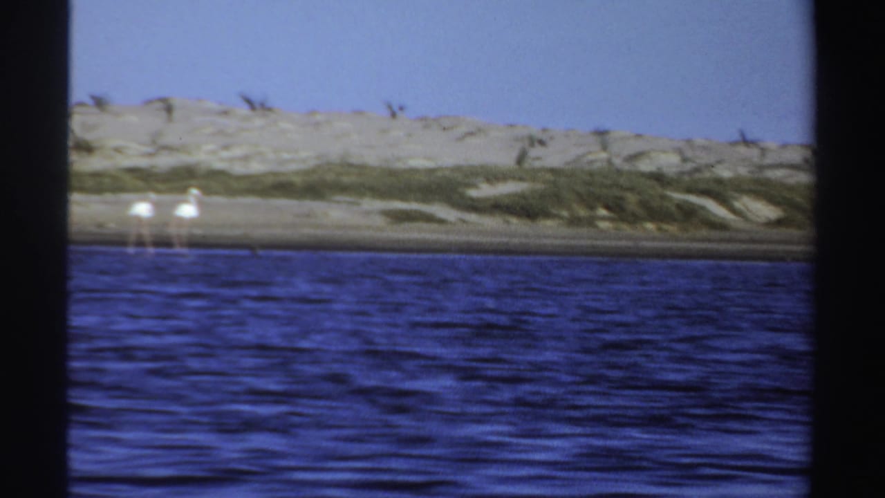 1969 Sudan 8mm frame showing blue water, sandy dunes, sparse vegetation, and distant white wading birds near the shore.